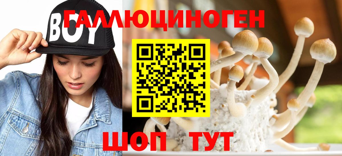 Псилоцибиновые грибы прущие грибы  Вход с VPN  Назарово 