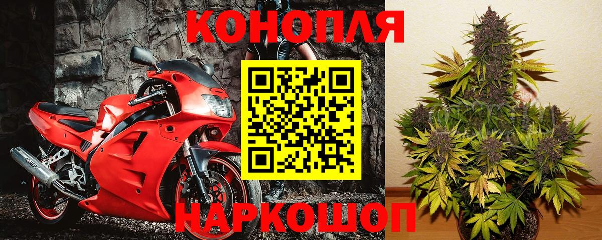 Бошки Шишки конопля Назарово